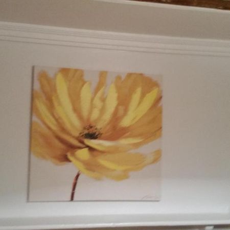 Jade Blue B&B Montreal Zewnętrze zdjęcie